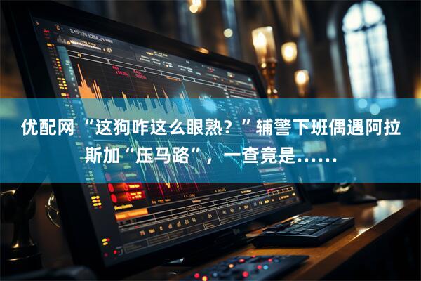 优配网 “这狗咋这么眼熟？”辅警下班偶遇阿拉斯加“压马路”，一查竟是……